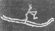 Primitive ski rock drawing